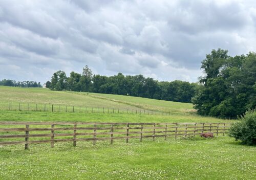 Stephens Fence and Land Horse fence